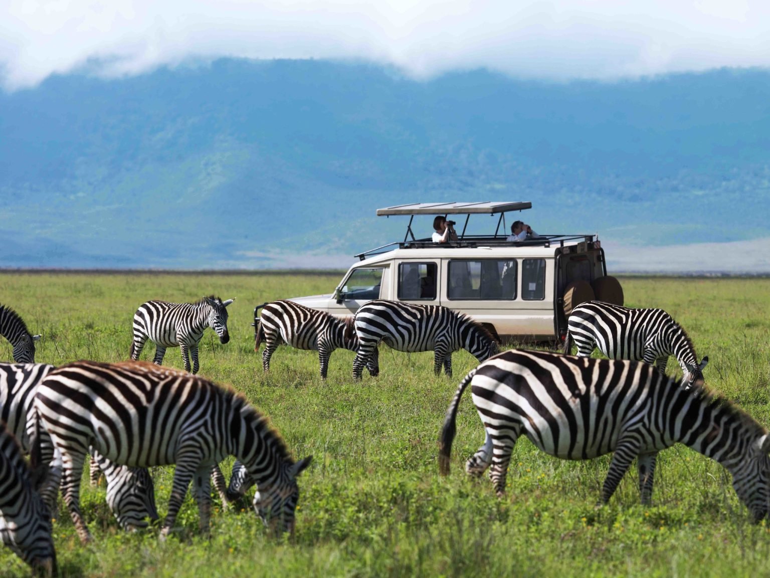 6 Days Great Migration tour in Ndutu serengeti Tanzania