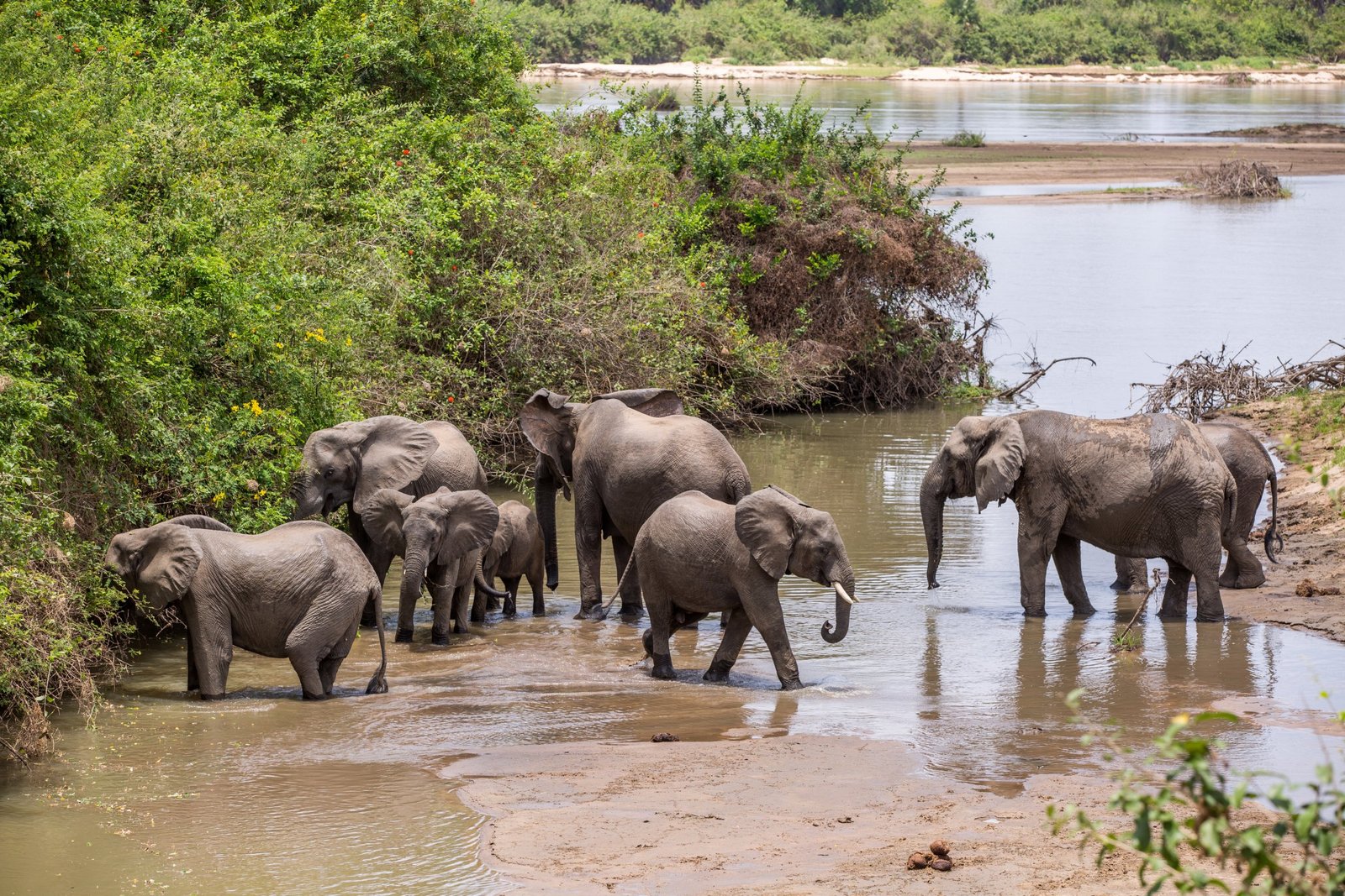 6-Day Grumeti Passage: Tarangire, Serengeti & Ngorongoro Private Safari