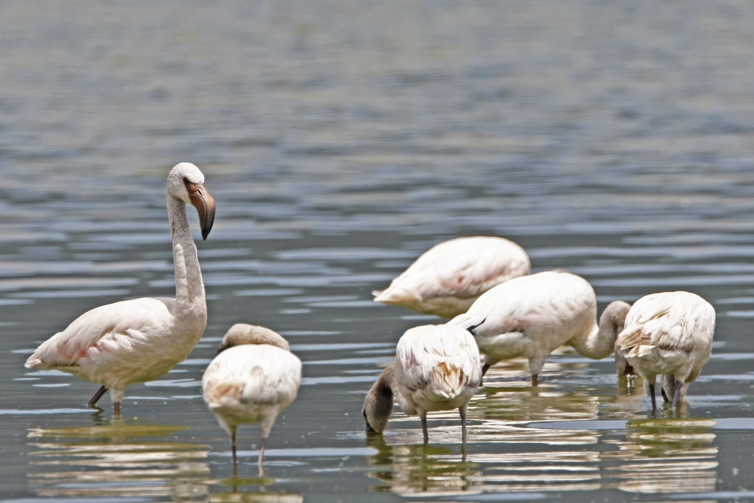 very nice tour in Tanzania