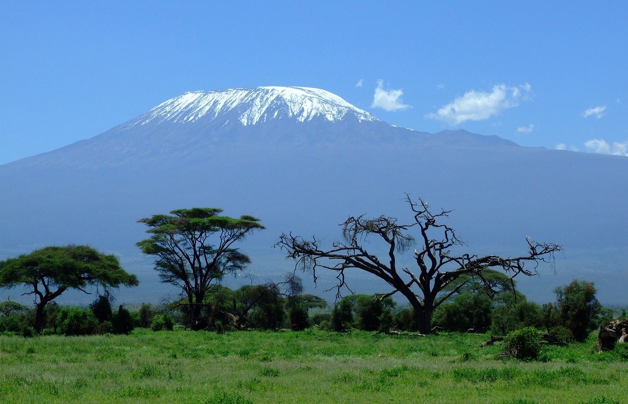 good tour in tanzania serengeti and tarangire
