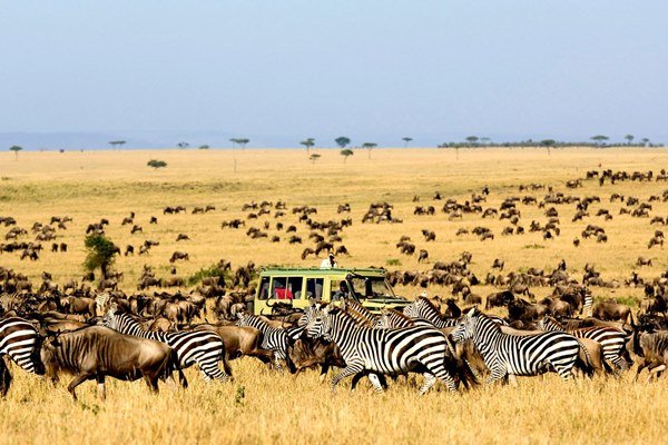 4 day camping tour in Tanzania photo