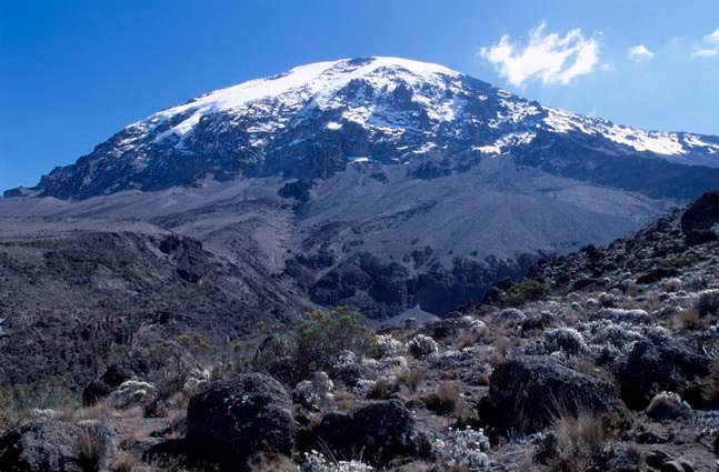6-Day Kilimanjaro Marangu Route Private Summit Trek
