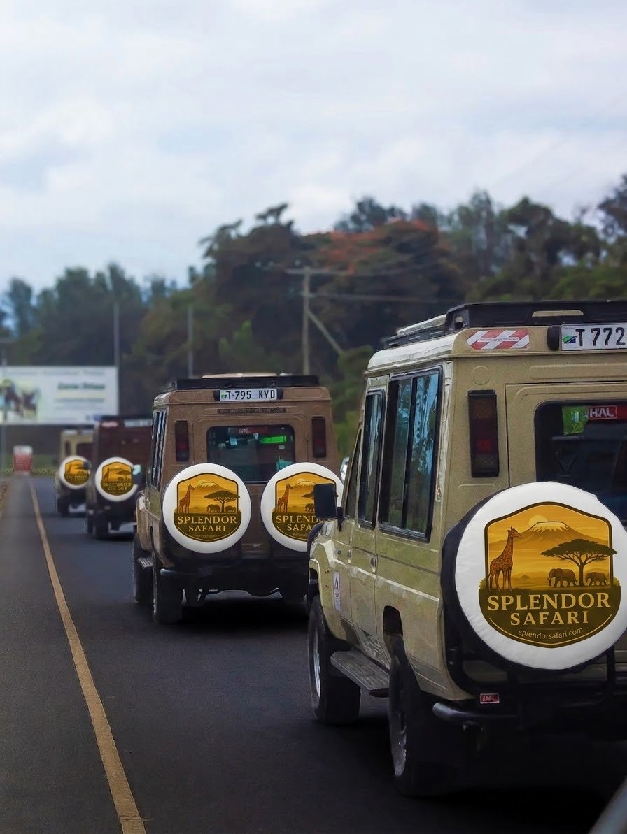 The Safari Vehicle