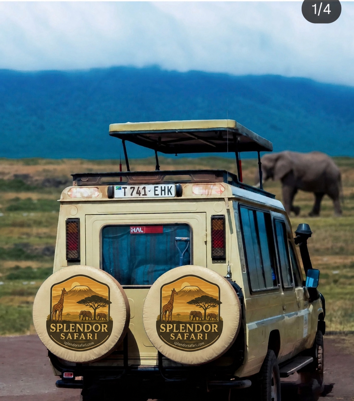 Road Safari & Transfers