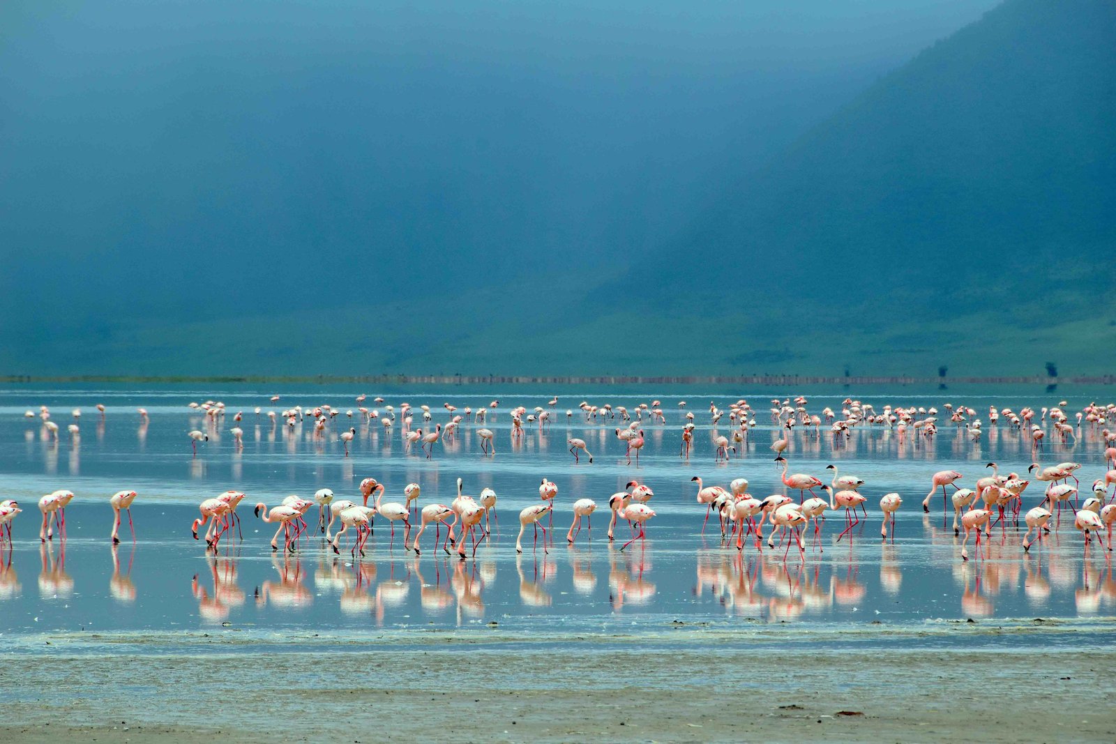 Lake Manyara Finale - Forest, Escarpment and Return to Arusha