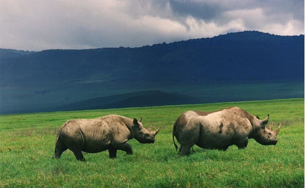 10-Day Tanzania Rift Valley, Serengeti & Cultural Highlands Private Safari photo