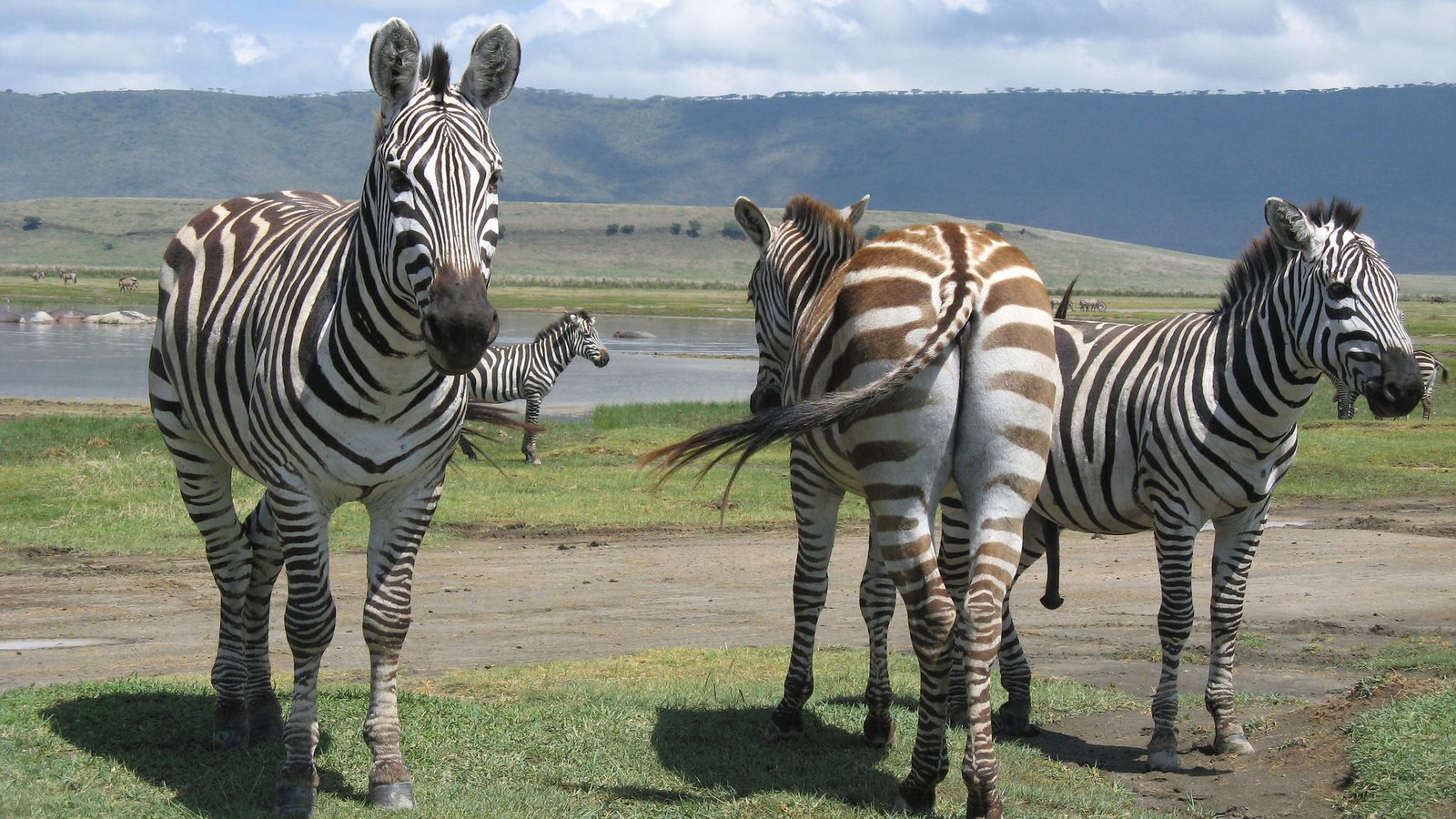 Serengeti Sunrise and the Ngorongoro Crater Rim
