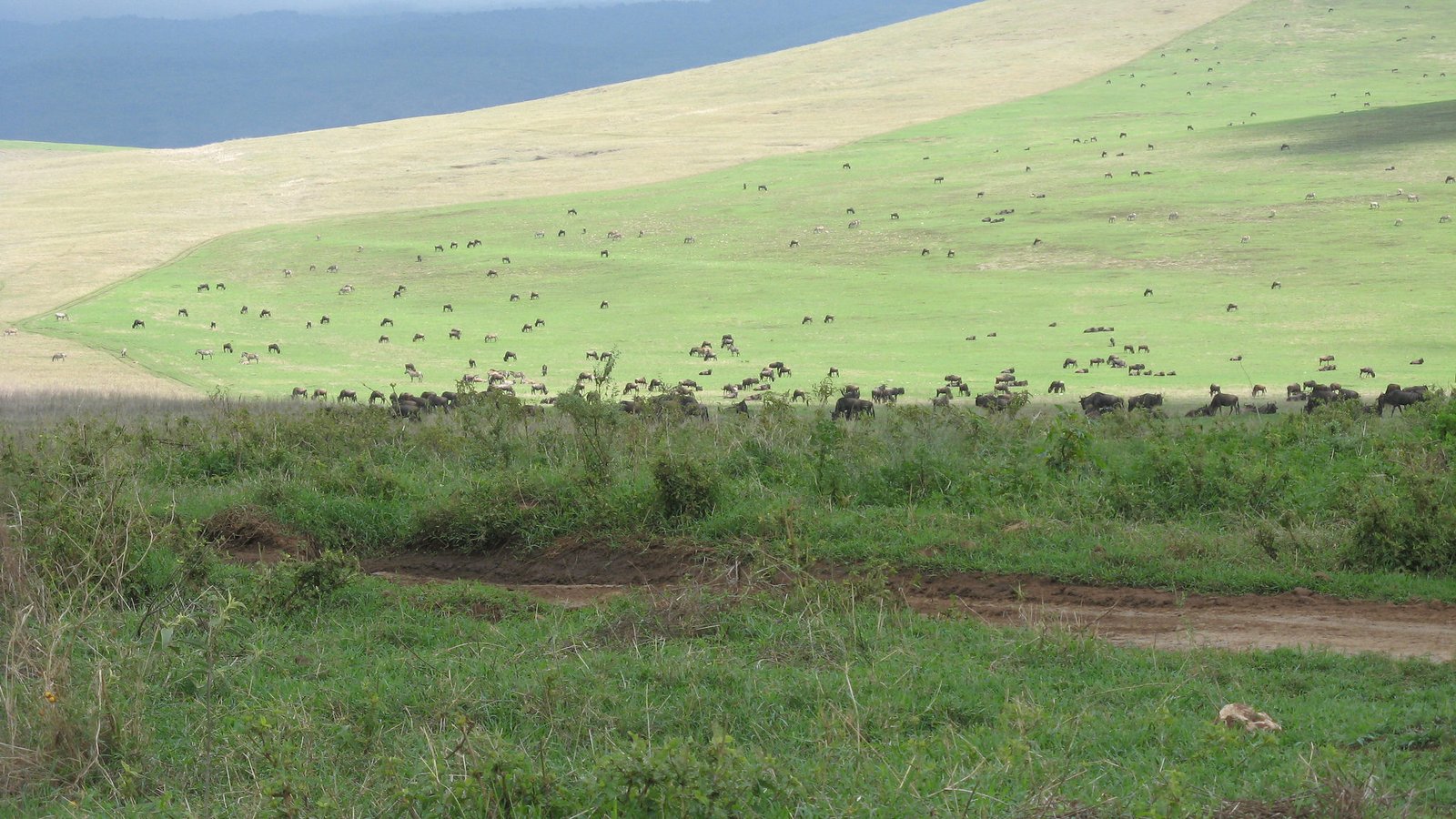 6-Day Grumeti Passage: Tarangire, Serengeti & Ngorongoro Private Safari photo