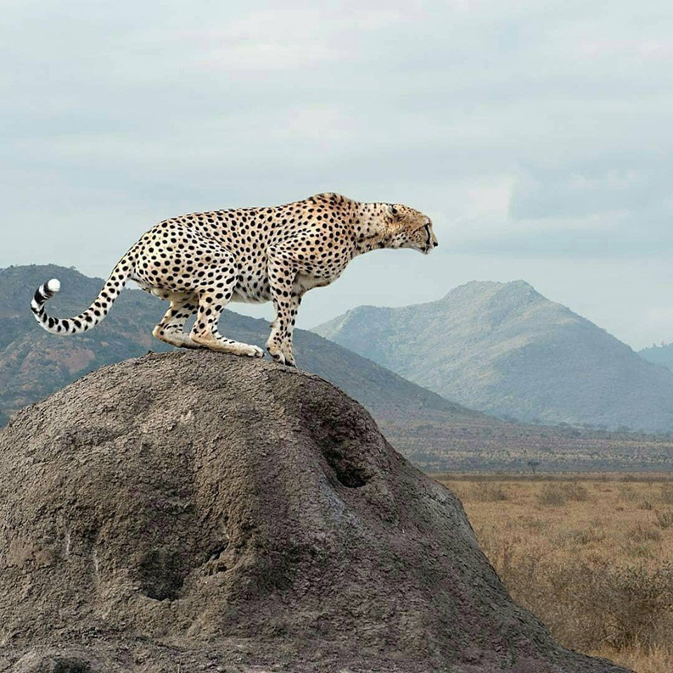 Into the Rift Valley - Arusha to Lake Natron