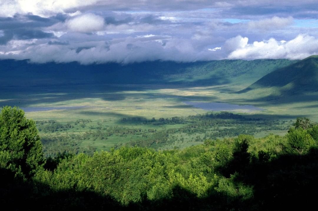 7-Day Tanzania Signature Luxury Safari: Serengeti, Ngorongoro, Tarangire & Manyara photo