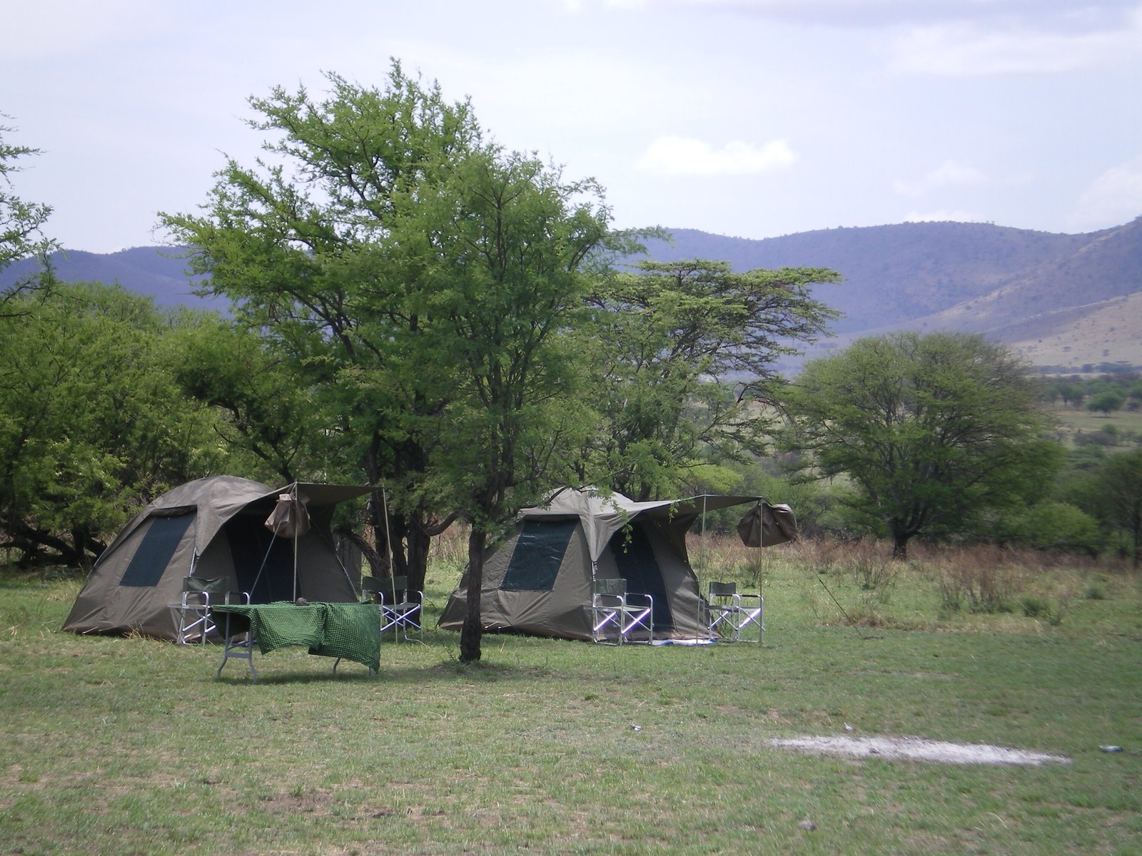Eco-Friendly & Natural Stays