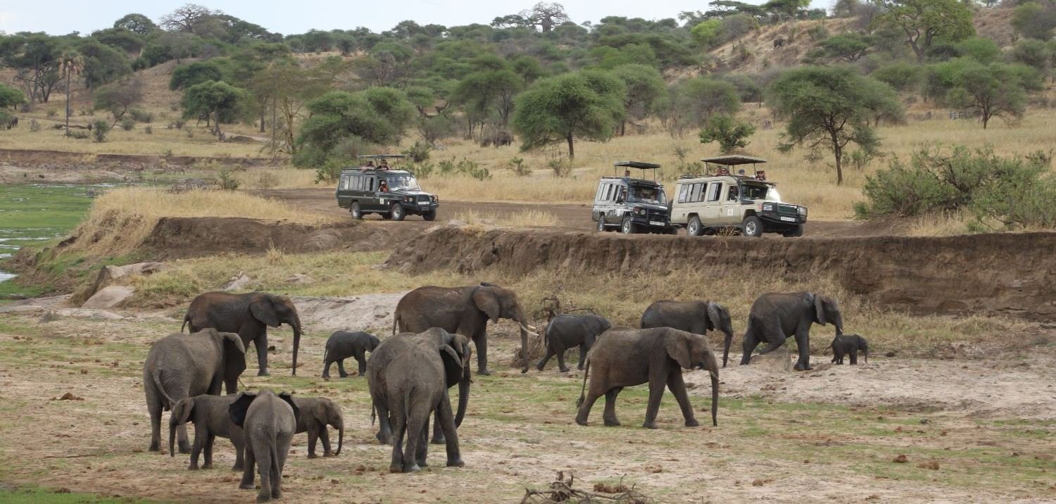 6-Day Tanzania Signature Private Camping Safari: Manyara, Serengeti, Ngorongoro & Tarangire photo
