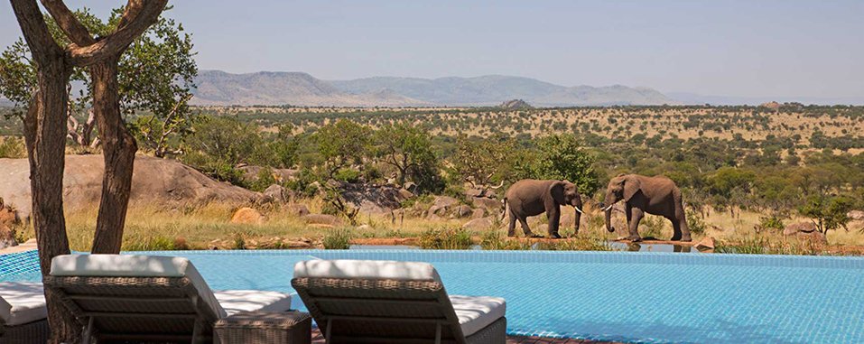 Wings, Plains & Villages: 4-Day Luxury Fly-In Safari from Zanzibar photo