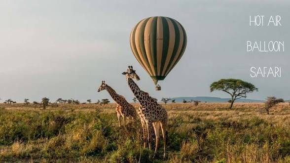 Wings, Plains & Villages: 4-Day Luxury Fly-In Safari from Zanzibar photo