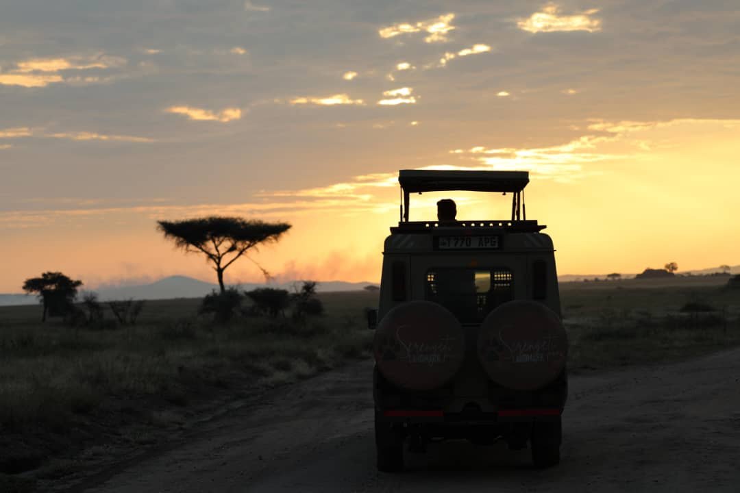 Serengeti at Your Pace - Predators, Plains and Optional Balloon Safari