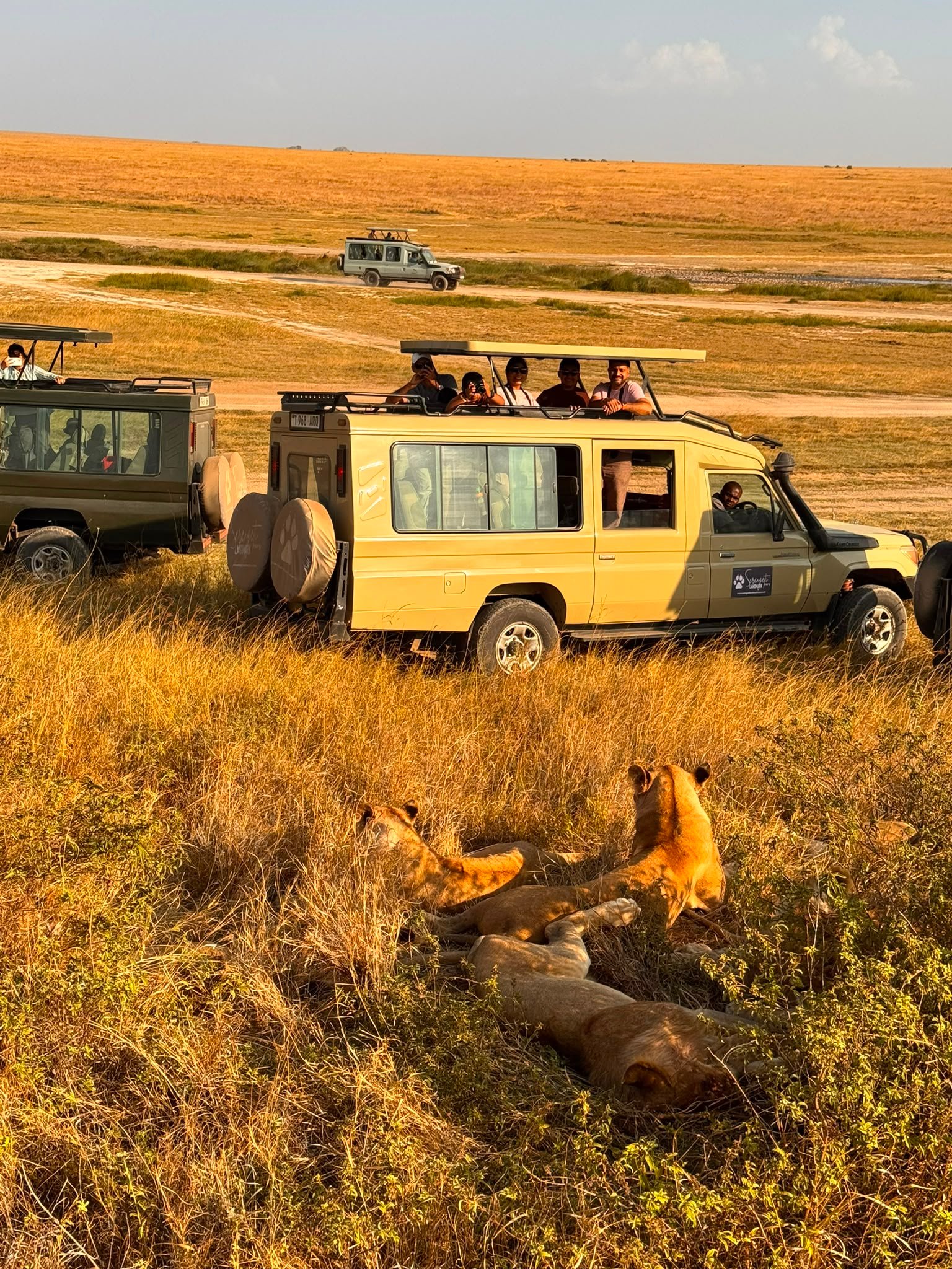 Across the Serengeti to the Crater Rim