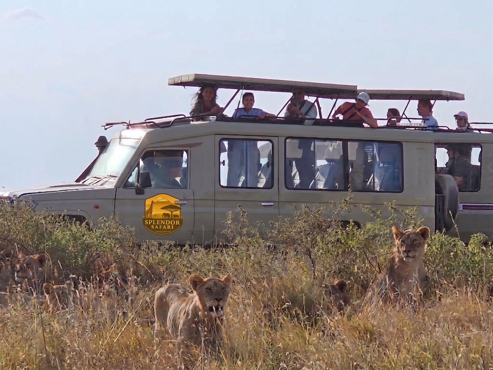 Into the Serengeti - From Rift Valley Green to Endless Plains