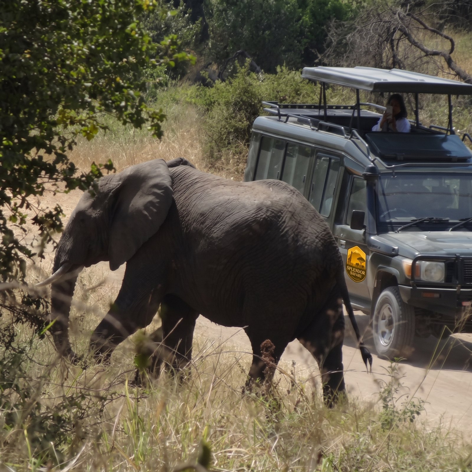 12-Day Tanzania Grand Safari & Zanzibar Luxury Beach Escape photo