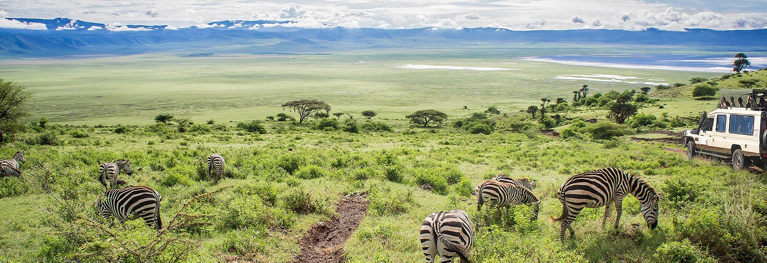 Mid-Range Safari