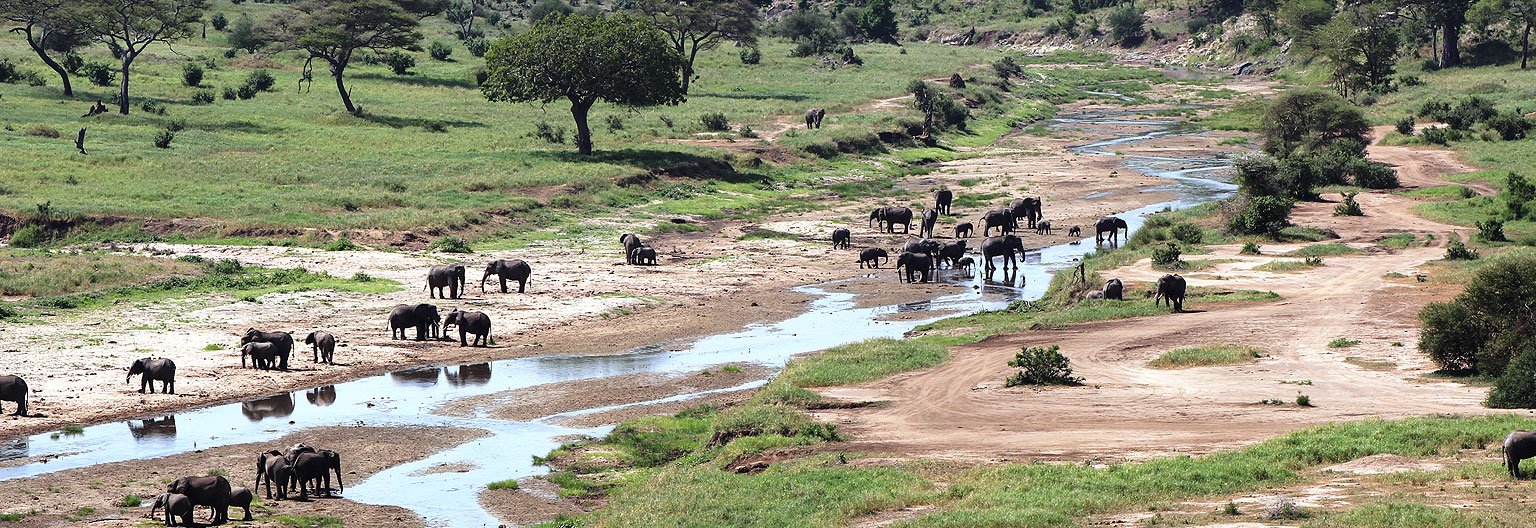 7-Day Serengeti Migration & Ngorongoro Luxury Sky Safari