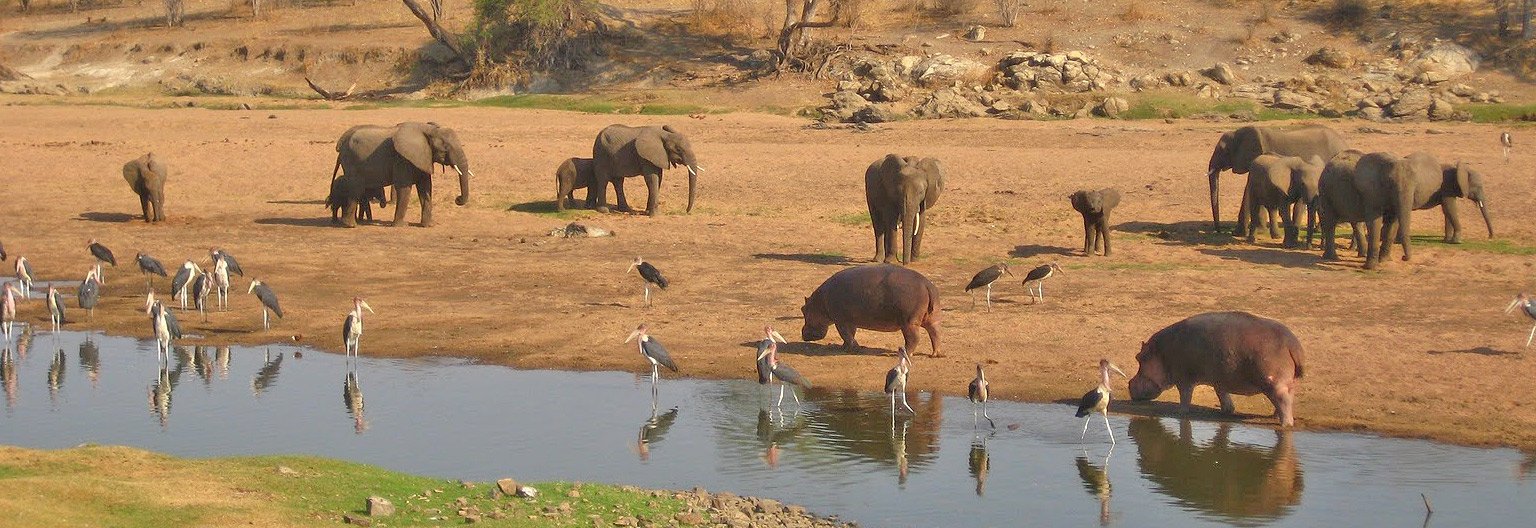 7-Day Serengeti Migration & Ngorongoro Luxury Sky Safari photo