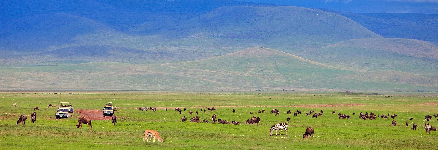 6-Day Grumeti Passage: Tarangire, Serengeti & Ngorongoro Private Safari photo