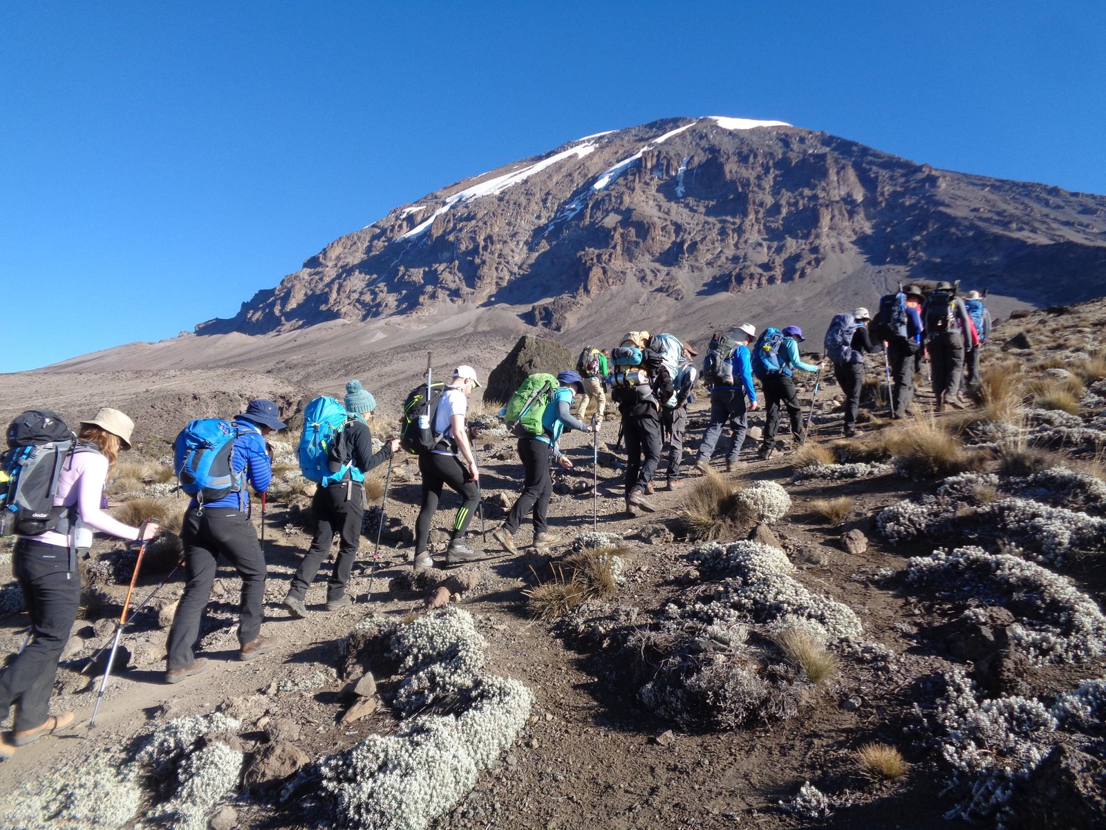 The Machame and Lemosho Routes