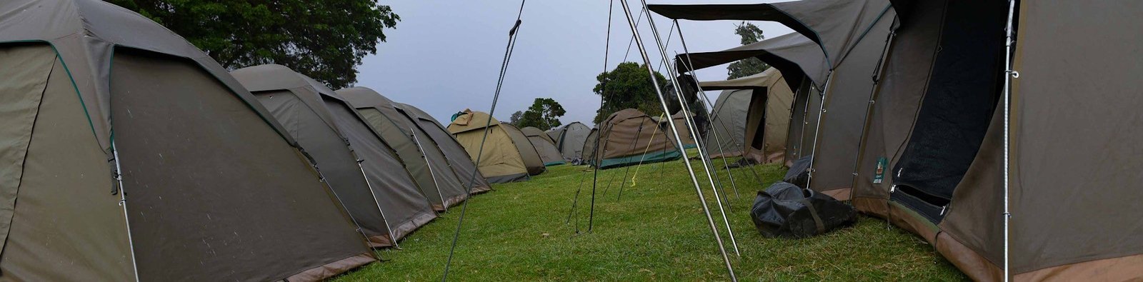 Serengeti West - Game-Drive Transfer to the Grumeti Landscape