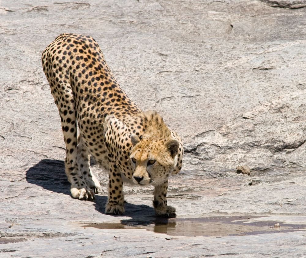 Rift Valley Forests and Lake Manyara
