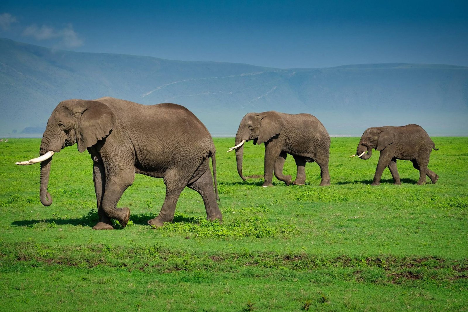 10-Day Tanzania Rift Valley, Serengeti & Cultural Highlands Private Safari photo