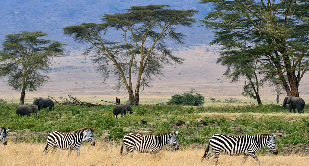 6-Day Northern Serengeti Migration & Ngorongoro Private Safari