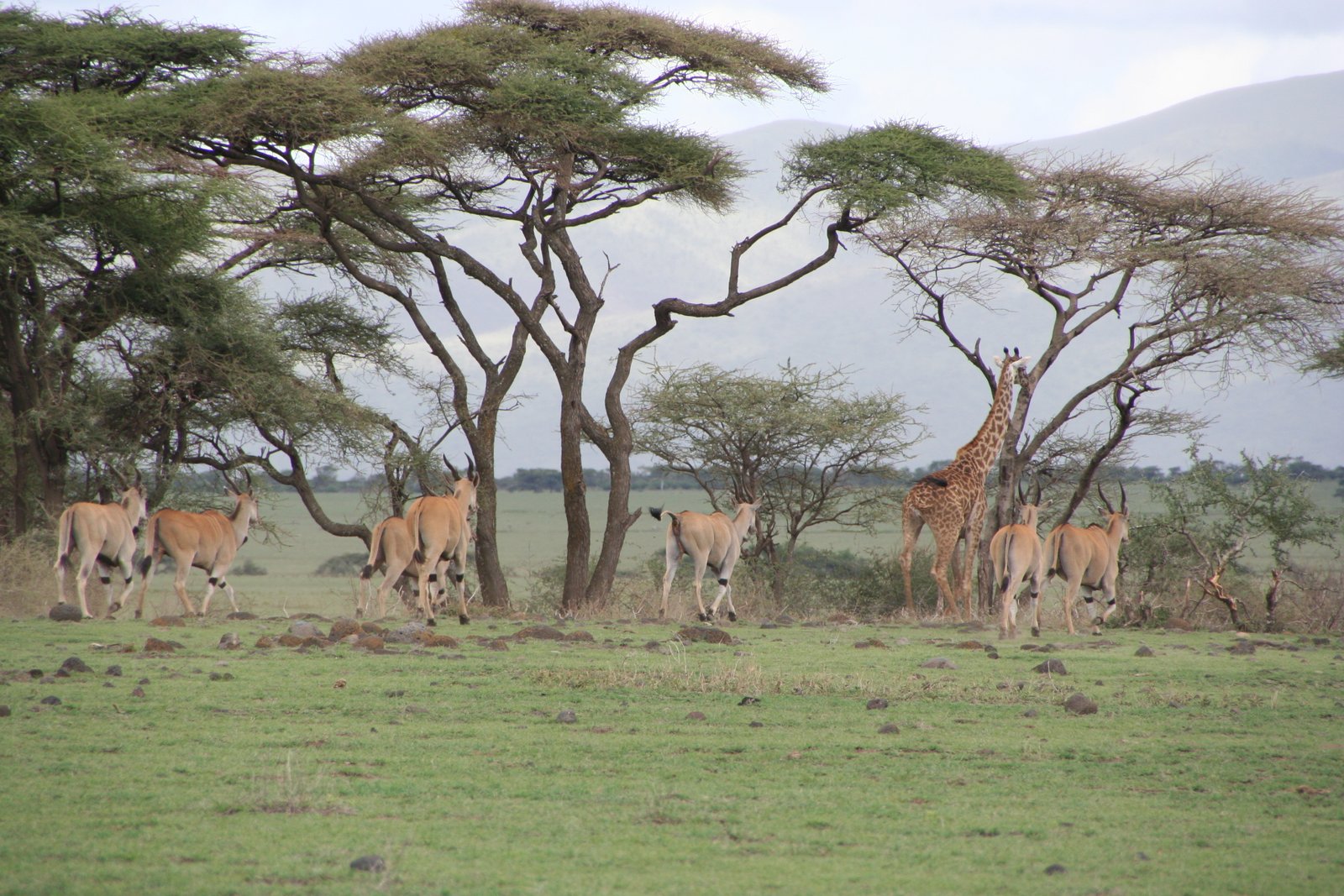 Serengeti National Park