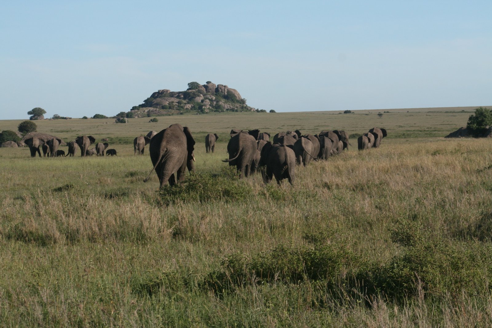 Wings, Plains & Villages: 4-Day Luxury Fly-In Safari from Zanzibar