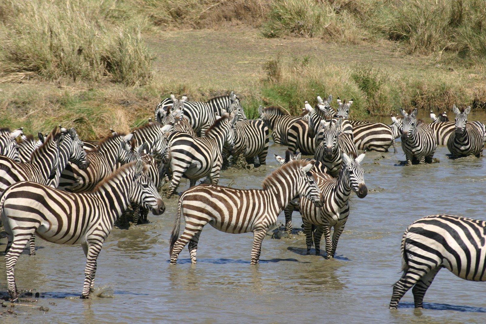 Into the Rift - Lake Natron and the Mountain of God
