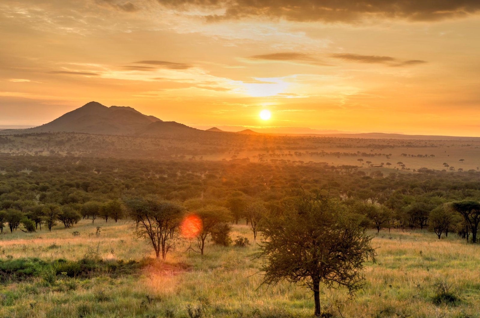 6-Day Tanzania Signature Private Camping Safari: Manyara, Serengeti, Ngorongoro & Tarangire photo