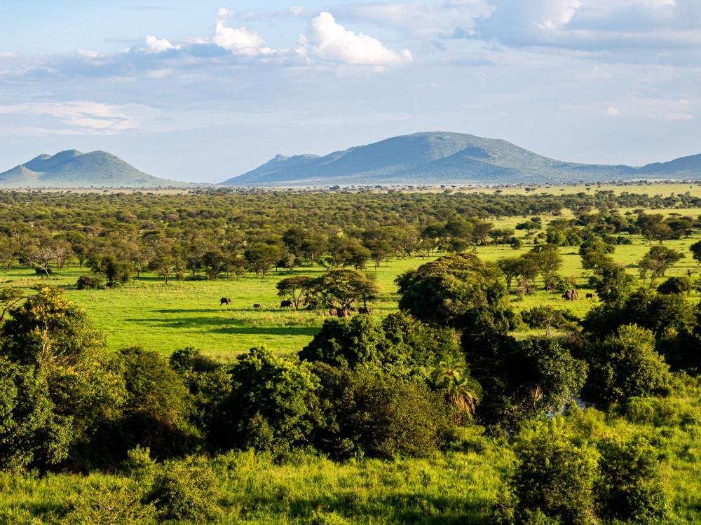 6-Day Tanzania Signature Private Camping Safari: Manyara, Serengeti, Ngorongoro & Tarangire photo