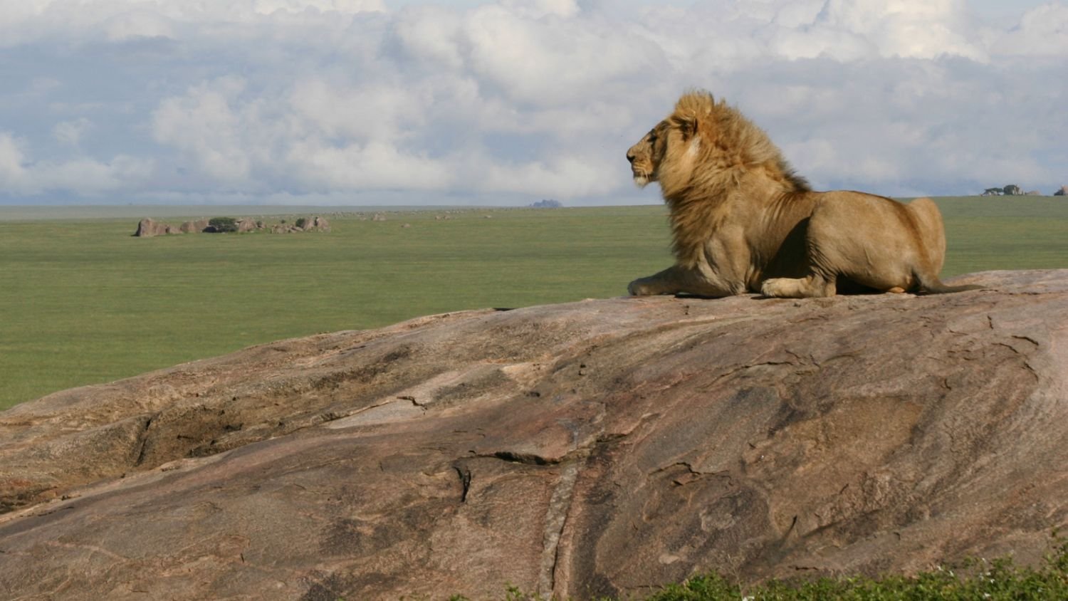 7-Day Serengeti Migration & Ngorongoro Luxury Sky Safari photo