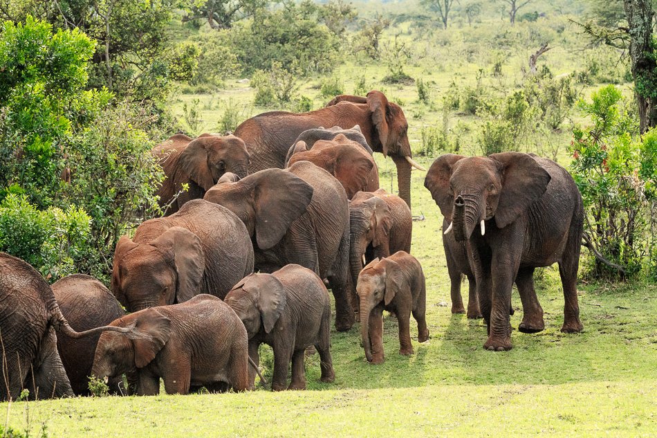 Tarangire National Park